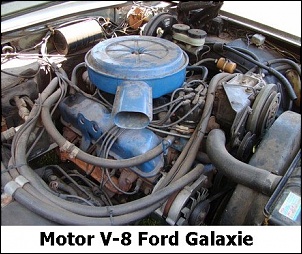 -motor-ford-galaxie-11.jpg