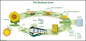 -biodieselcycle.jpg