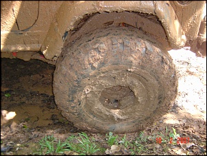 O que vcs acham de um lava rapido 4x4?-dsc02392.jpg