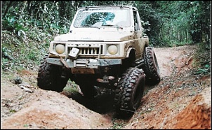 Super Swamper TSL/SX ou IROK-camel02-s_750.jpg