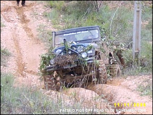 -camuflagem.jpg