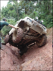 Raptor Crawling-b299.jpg
