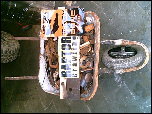 Raptor Crawling-028.jpg