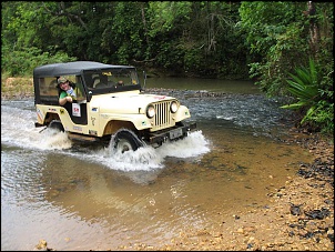 Ford Jeep 1982-igor_e96.jpg