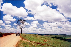 Niva 1995 - SUVdesenvolvido-mg-06-na-estrada-11-r.jpg