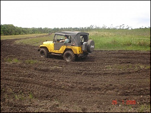 CJ 5 TD - em busca do jipe perfeito-dsc06302.jpg