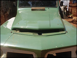 Rural Animal - V8 302 Big Foot-dsc02874.jpg