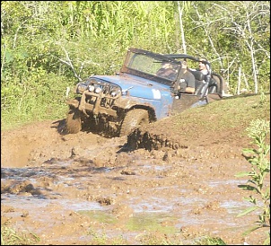 Jeep CJ 5 1961 &quot;ARAPUCA&quot;-hz1.jpg