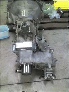 CJ5 - V6 4.3 Vortec-14-04-08_1656.jpg