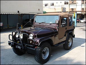CJ5/1979 - Woody-woody_29.jpg