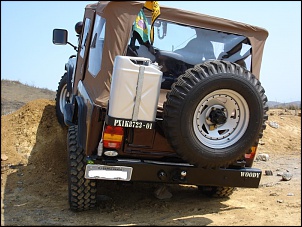 CJ5/1979 - Woody-woody_40.jpg