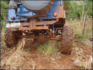 Jeep CJ 5 1961 &quot;ARAPUCA&quot;-4x4-1.jpg