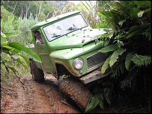 Meus Jeeps: Cj-3b E Cj-5-img_3771.jpg