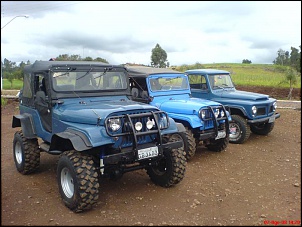 Jeep CJ 5 1961 &quot;ARAPUCA&quot;-dsc01453.jpg
