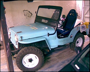 &quot;Smurf&quot; CJ3A-imagem002.jpg