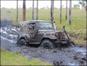 PRATEADO - CJ5 Diesel-p4270126.jpg