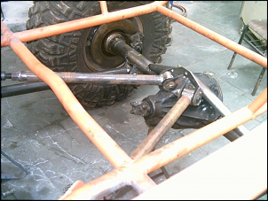 Raptor Crawling-pict0061.jpg