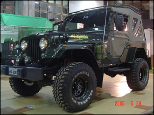 willys militar preparado-brusque_2005_049_880.jpg