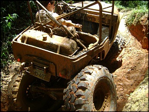 CJ 58' &quot;Devasso&quot;-pinheirinho-20-11-2008-005.jpg