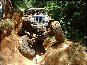 CJ 58' &quot;Devasso&quot;-pinheirinho-20-11-2008-007.jpg