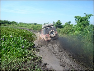 Ovelha Negra - CJ-5 63-exppantnk078.jpg