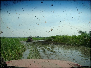 Ovelha Negra - CJ-5 63-exppantjk26.jpg