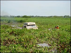 Ovelha Negra - CJ-5 63-exppantjk33.jpg