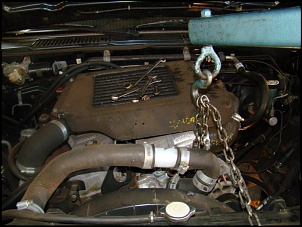 INSANA  Nissan D21-dsc02188.jpg