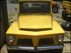 Snoop Golden By Carasuja 4x4!!!!-s2020003.jpg