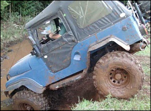 Jeep CJ 5 1961 &quot;ARAPUCA&quot;-descendo-1.jpg