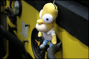 -frotafase01-homer.jpg