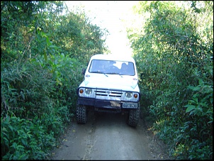 -mato_111.jpg