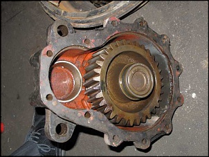 Uni Mogli MK-eixos_mog_010.jpg