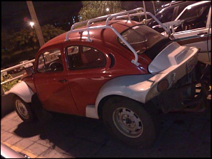 Spider 2-02042009593.jpg