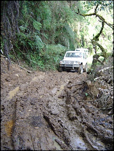 -lama-2_210.jpg