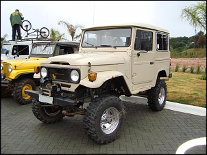 Toyota Bandeirante 1989 - OM314 SPOADA-dsc00009.jpg