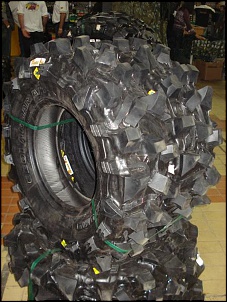 F75 on rocks!!!-godlokos-sauro.jpg
