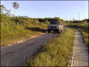 F1000 4x4 - Milona-netos012.jpg