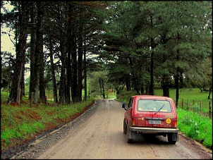 Niva 1995 - SUVdesenvolvido-sc-urubici-05-sh80-k400.jpg