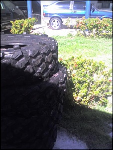 CJ5 1976 - O xeteiro-29-11-09_1421.jpg