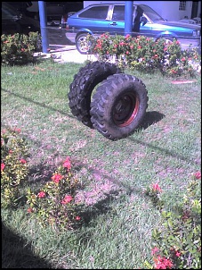 CJ5 1976 - O xeteiro-29-11-09_1425.jpg