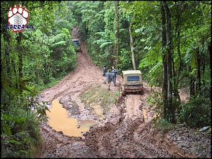 Jeep CJ5  79  - Garra 4x4 !!!-camel09.jpg