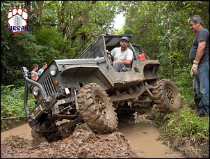 Jeep CJ5  79  - Garra 4x4 !!!-camel02.jpg