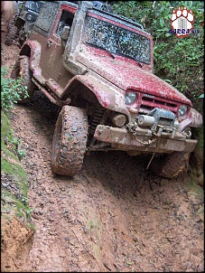 Jeep CJ5  79  - Garra 4x4 !!!-camel04.jpg
