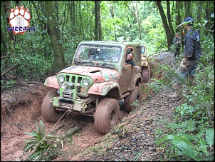 Jeep CJ5  79  - Garra 4x4 !!!-camel11.jpg