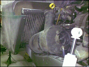 Willys - Maestro-31122009399.jpg