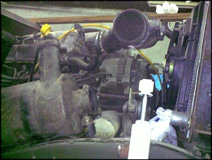 Willys - Maestro-31122009405.jpg