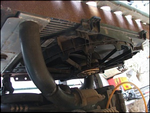 Willys - Maestro-dscf7251.jpg