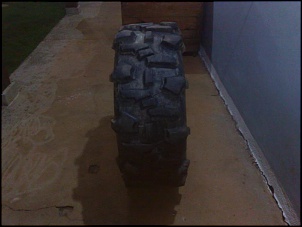 -20022010159.jpg