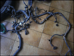 -imagem-051.jpg